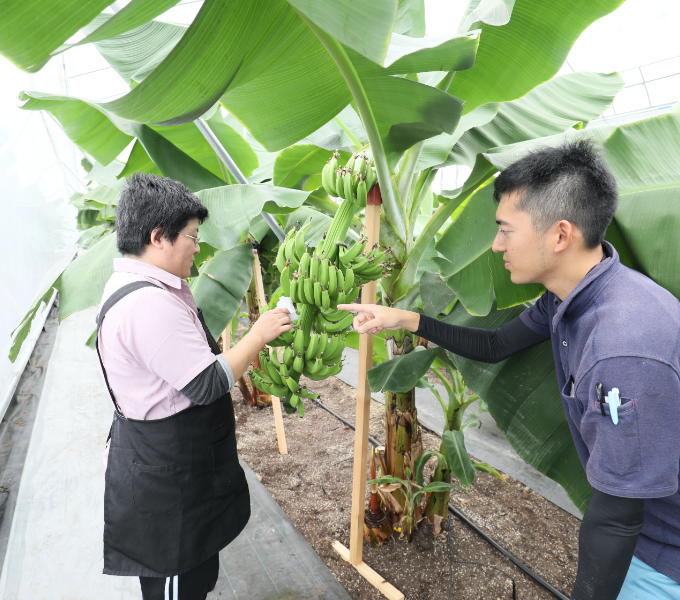 社会福祉法人清穂会との連携のイメージ